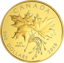 5 Unze Gold Maple Leaf 2018 PP (99 Exemplare)