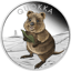 1 Unze Silber Australian Quokka 2021 PP (Auflage: 5.000 | coloriert)
