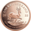 1/10 onza de oro Krugerrand 2022 proof (tirada: 1.000 | estuche incluido)