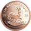 1/4 Unze Gold Krügerrand 2022 PP (Auflage: 2.000 | inkl. Etui)