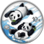 30g Silber China Panda 2022 (Auflage: 1.888 | coloriert | Produktkarte)