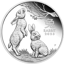 1/2 Unze Silber Lunar III Hase 2023 PP (Auflage: 4.000 | Polierte Platte)
