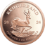 1 Unze Gold Krügerrand 2024 PP (Auflage: 1.000 | Polierte Platte)