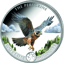 1 Unze Silber Kongo Worlds Wildlife Wanderfalke 2024 (Auflage: 5.000 | coloriert)