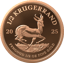 1/2 Unze Gold Krügerrand 2025 PP (Auflage: 500 | Polierte Platte)