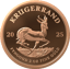 2 Unze Gold Piedfort Krügerrand 2025 PP (Auflage: 200 | Polierte Platte)
