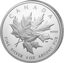 1 Unze Silber Triple Maple Leaf 2025 (Auflage: 7.500 | Polierte Platte)