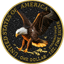 1 oz Silver American Eagle Black Iced Out 2025 (Mintage: 100 | partially gold-plated)