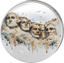 1/2 Unze Silber Mount Rushmore 2026 (Auflage: 1.500 | Polierte Platte)