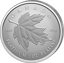 1 Unze Platin Purest Maple Leaf 2026 (Auflage: 425 | Reverse Proof)