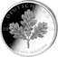 1 Unze Silber Eichenblatt 2026 (Auflage: 1000 | Polierte Platte)