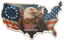 1 Unze PAMP Silberbarren 250 Jahre Stars and Stripes (Auflage: 2.500)