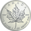 1 Unze Silber Maple Leaf 2013