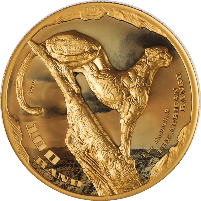 African Range 2026 Reverse — spähender Gepard