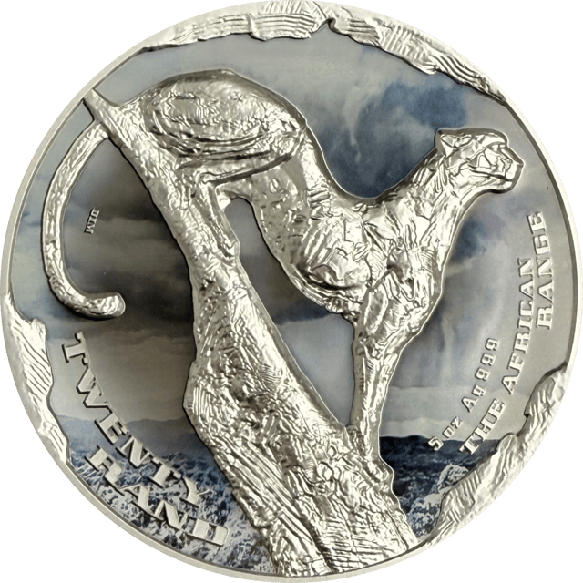 African Range 2026 Reverse — spähender Gepard