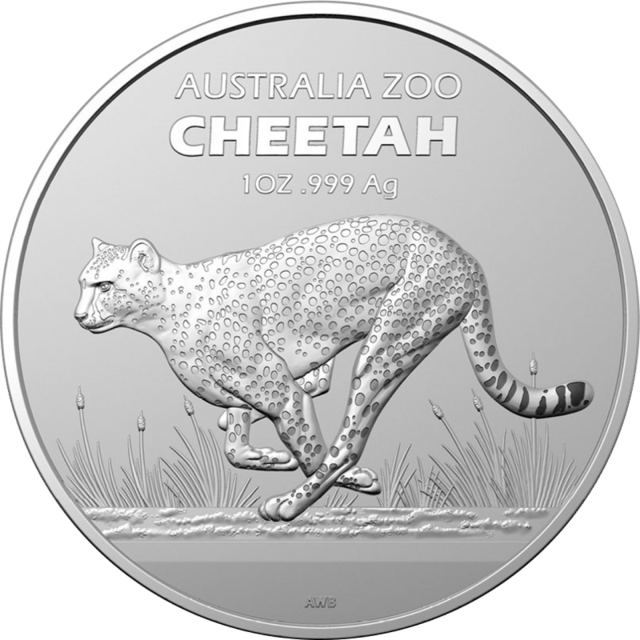Jachtluipaard Australia Zoo 2021, 1 troy ounce zilver, beeldzijde