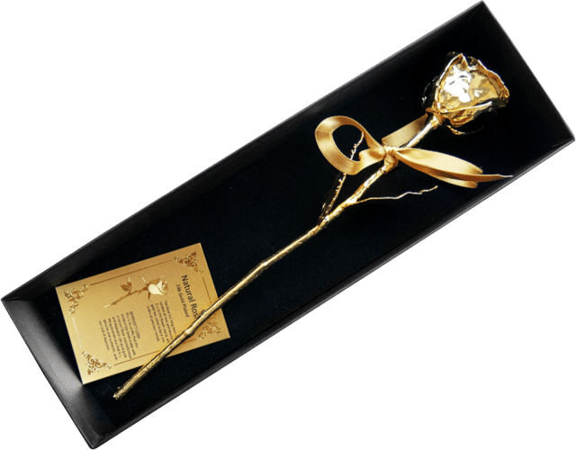 Rosa de oro 27cm en estuche (rosa natural completamente dorada)