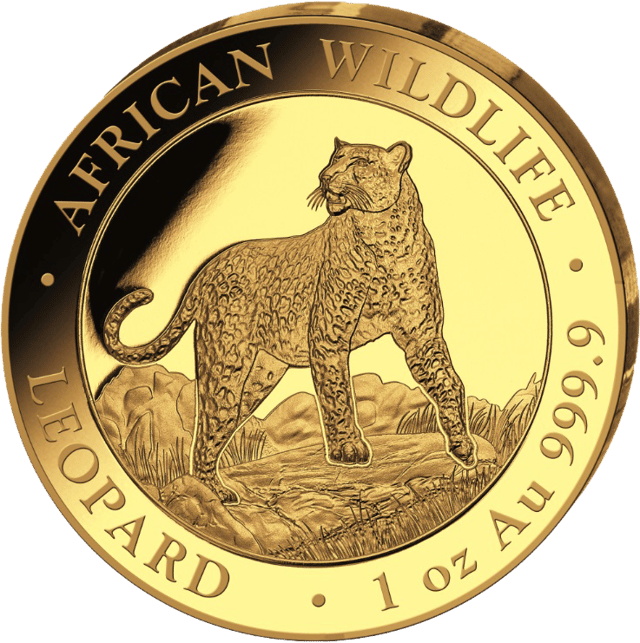 African Wildlife Leopard 2022, set in goud, beeldzijde
