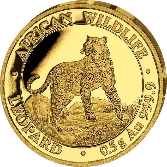 African Wildlife Leopard 2022, 0,5 g Gold, Bildseite
