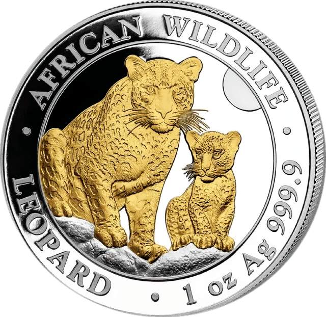 African Wildlife Leopard 2024, 1 Unze Silber, Bildseite