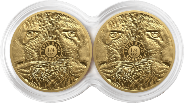 Big Five Leopard 2026, 2 × 1/4 Unze Gold, beide Münzen mit dem Gesicht