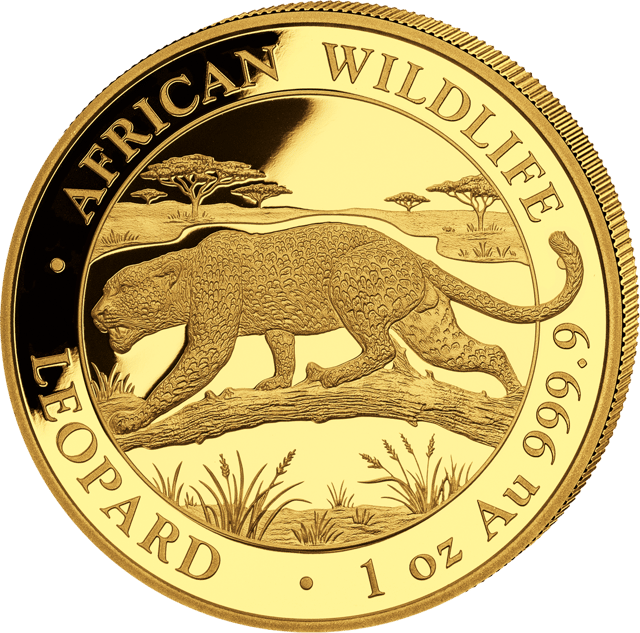 African Wildlife Leopard 2026, 1 troy ounce goud, beeldzijde