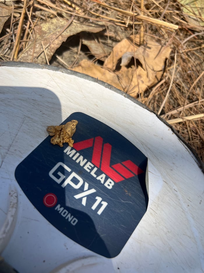 goldnugget event nugget closeup