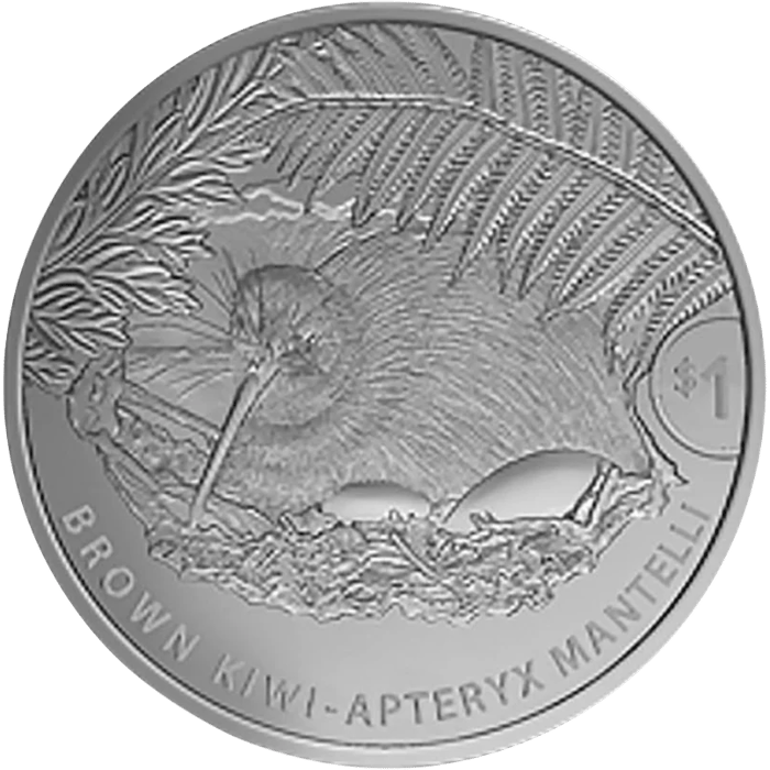 Silver coin: a brown kiwi in a nest hollow, two eggs in the nesting material in front of it and a fern frond over it
