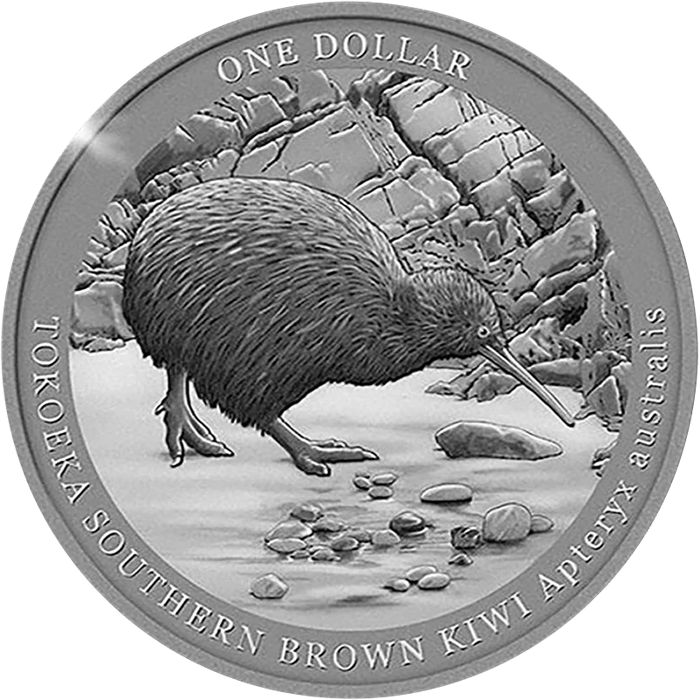 Silver coin: a kiwi of the species tokoeka with its bill lowered, on a beach with scattered stones in front of rocks