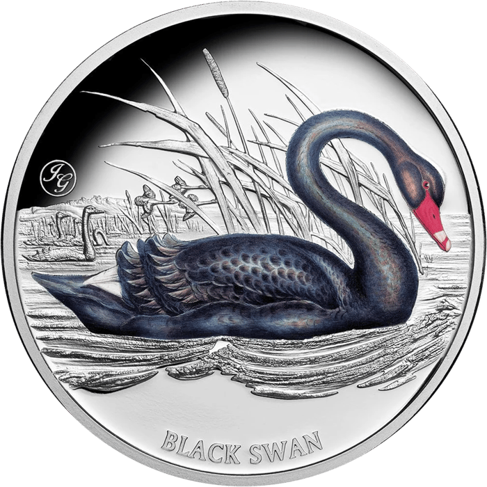 Black Swan coin in silver, picture side: a black swan on the water, in colour, with dark plumage and a red bill, reeds behind it