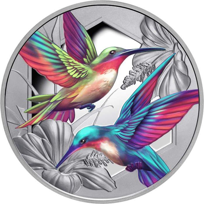 Hummingbird coin in silver, picture side: two hummingbirds in colour among blossoms