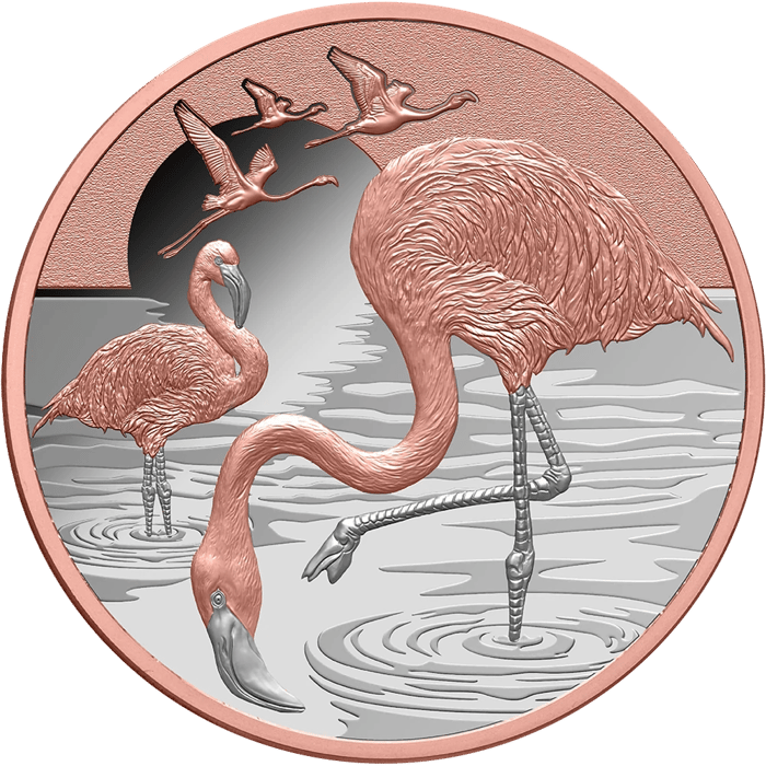 Flamingo coin in silver, picture side: flamingos in pink, one with its head in the water, three in flight