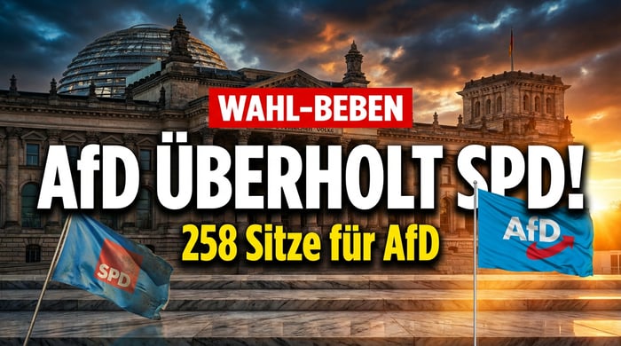 AfD könnte SPD bei Bundespräsidentenwahl erstmals überflügeln