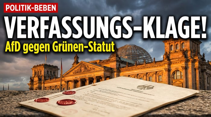 AfD zieht gegen Grünen-Frauenstatut vor das Bundesverfassungsgericht