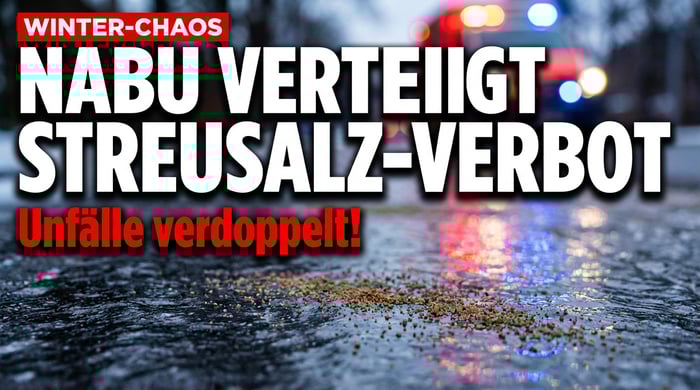 Berliner Nabu verteidigt Streusalz-Klage: Verdoppelte Rettungseinsätze sind für den Verband „relativ normal"
