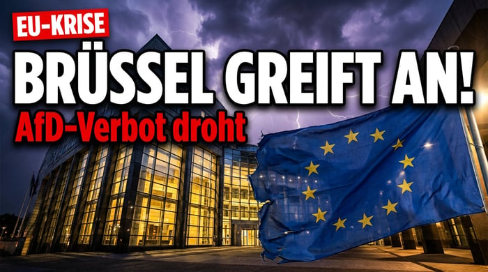 Brüsseler Großangriff: EU-Behörde will AfD-Europapartei mundtot machen