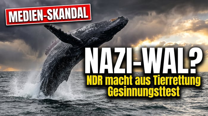 Der "Nazi-Wal" von der Ostsee: Wie der NDR aus einer Tierrettung einen Gesinnungstest macht