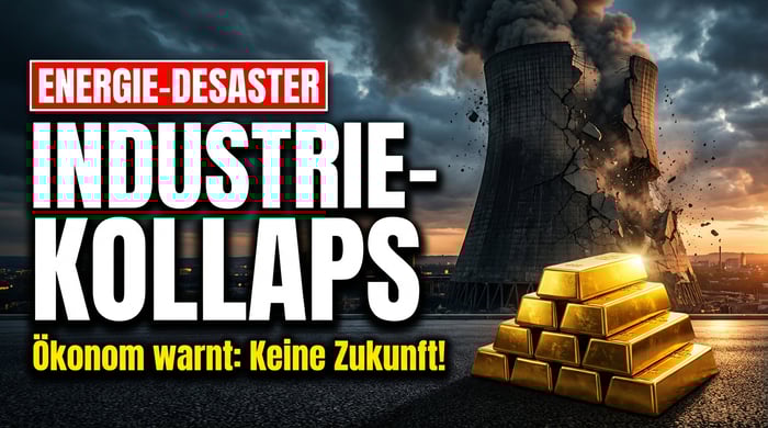 Deutschlands Energie-Desaster: Top-Ökonom rechnet gnadenlos mit der Wirtschaftspolitik ab