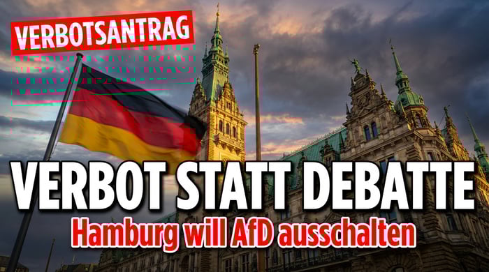 Hamburger Rot-Grün treibt AfD-Verbotsverfahren voran: Demokratieschutz oder politische Selbstbedienung?