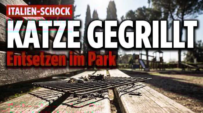 Katze im Park gegrillt: Nigerianischer Migrant sorgt für Entsetzen in Italien