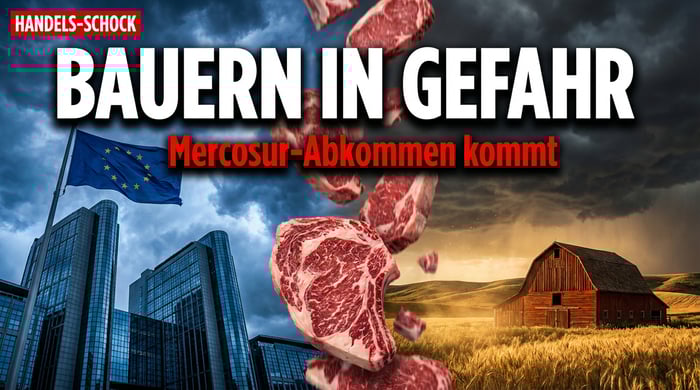 Mercosur-Abkommen: Brüssel beschwichtigt Europas Bauern mit Schutzklauseln – doch reicht das?