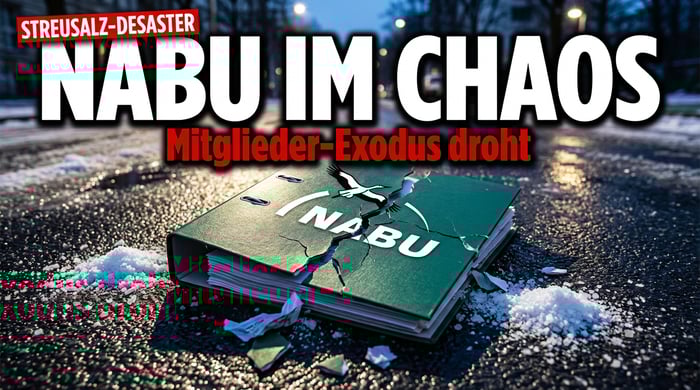 NABU in der Krise: Streusalz-Klage bringt Naturschutzbund ins Schleudern