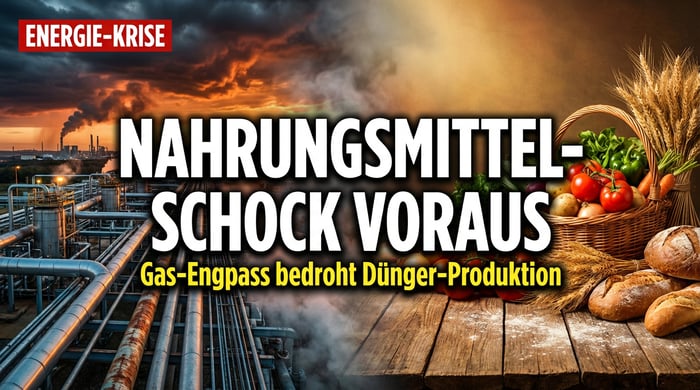 Nahrungsmittel-Schock voraus: Wenn die Energiekrise am Esstisch ankommt