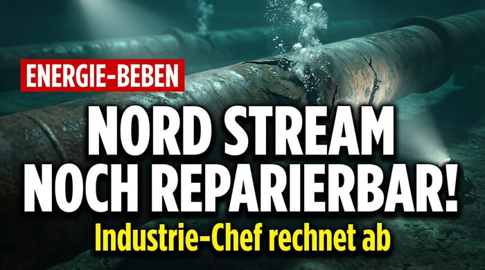Nord Stream noch reparierbar: Europipe-Chef rechnet mit deutscher Energiepolitik ab