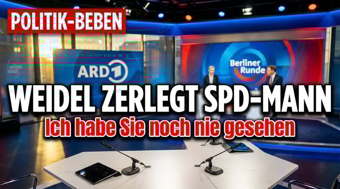 Weidel demontiert SPD-Generalsekretär im Live-TV: „Hab Sie noch nie gesehen"