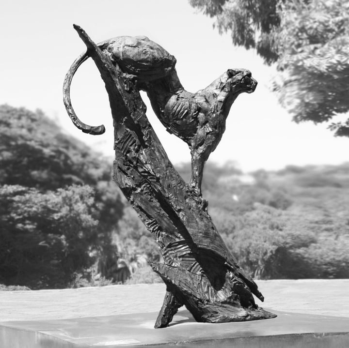 Surveying Cheetah III — bronze by Dylan Lewis, Kirstenbosch