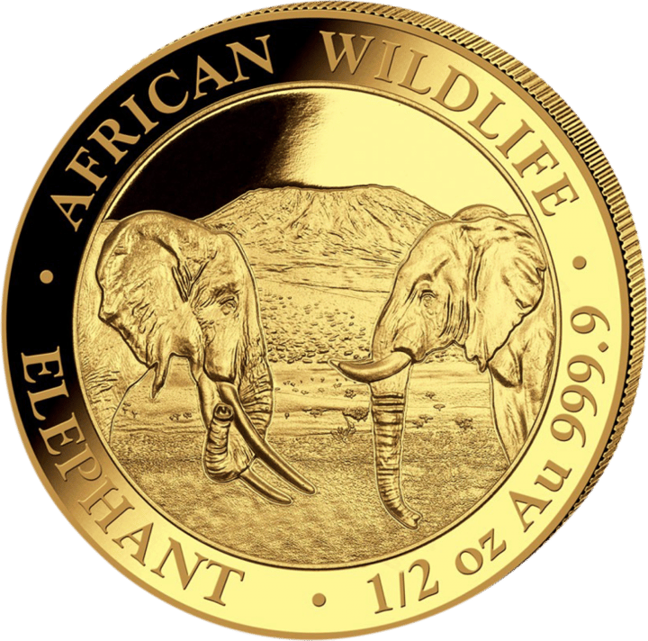 Somalia Elefant, 1/2 Unze Gold, Bildseite, Abbildung