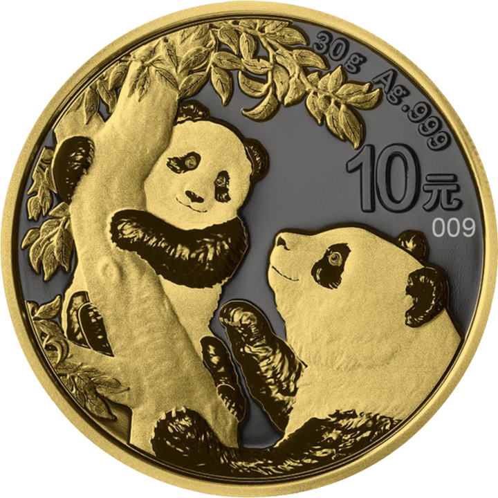 China Panda, 30 g Plata, cara con el panda, imagen