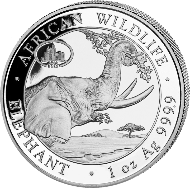 Elefante Somalia, 1 onza Plata, cara del motivo, imagen