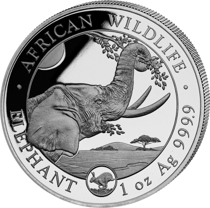 Somalia Elefant, 1 Unze Silber, Bildseite, Abbildung